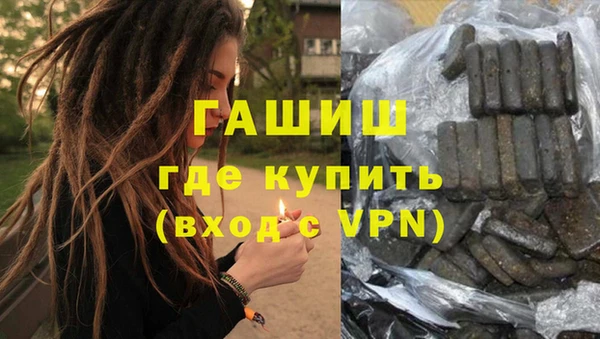 стаф Каменногорск