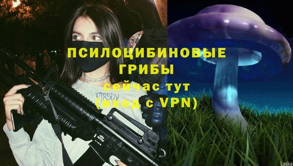 прущая мука Карталы