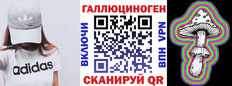 где продают   Киселёвск  Псилоцибиновые грибы прущие грибы 